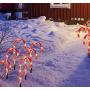 J-HVA Christmas Candy Cane Lights, Candy Cane Lights Christmas Decorations Outdoor for Yard,Garden(10Inch), 10Pack