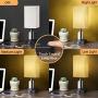 3 Way Touch Control Dimmable Bedside Table Lamp with 3 USB Charging Ports, 2 AC Outlets, Minimalist Modern Night Light for Nightstand Bedroom Living Room Office, 5W LED Bulb Included