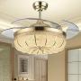 YEELED Light 42 Inch Invisible Reversible Ceiling Fans with 3 Changing Light Color Retractable Ceiling Fan Chandelier with Remote Control for Indoor Living Room Bedroom Dining Room Ceiling Light Kits with Fans (42 Inch, Gold-01)