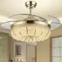 YEELED Light 42 Inch Invisible Reversible Ceiling Fans with 3 Changing Light Color Retractable Ceiling Fan Chandelier with Remote Control for Indoor Living Room Bedroom Dining Room Ceiling Light Kits with Fans (42 Inch, Gold-01)