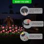 HeyMate Solar Garden Lights Outdoor 2 Pack Solar Pink Rose Flower Lights with 10 Roses Solar Christmas Decorative Lights Waterproof for Patio,Backyard,Yard,Pathway,Xmas Decorations