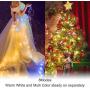 ANJAYLIA 2 in 1 Warm White & Multicolor 33ft 100 LED Fairy Lights, USB Powered Plug-in Powered Waterproof String Lights with Remote Timer Adapter for Bedroom Garden Wedding Party Christmas Decorations
