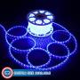 Russell Decor LED Rope Lights Festival Holiday Party Seasonal Christmas Decoration 30ft - 200ft Customized Available (Blue, 10)