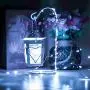 RUICHEN USB Fairy Lights 33 Ft 100 LED Twinkle String Lights with ON/Off Switch, Waterproof Silver Wire Christmas Lights for Bedroom Wall Ceiling Wreath Crafts Wedding Party (Cool White) RUICHEN USB Fairy Lights 33 Ft 100 LED Twinkle String Lights with ON/Off Switch, Waterproof Silver Wire Christmas Lights for Bedroom Wall Ceiling Wreath Crafts Wedding Party (Cool White)