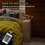 LED Dinosaur Decoration Night Lights with Remote Controller Timer Kids Night Guidance Lamp Toy Christmas Birthday Festvial Party Gifts for Boys Girls Teen(Dinosaur)