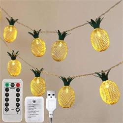 YXYQR 10ft 20 Pineapple LED String Lights Battery Operated/USB Plug with Remote Timer Indoor Outdoor Fruit Fairy Mood Lights for Home Porch Christmas Bedroom Garden Party (Warm White)