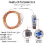 LED Fairy Lights Plug in Led String Lights 32.8FT 100 LED USB Twinkle Fairy Lights with Remote, 8 Modes Warm Light Copper Wire Lights for Bedroom Christmas (2 Pack, 32.8 ft)