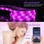 LED Strip Lights for Bedroom 32.8ft HEERTTOGO Waterproof IP65 300 LEDs 5050 RGB LED Lights Strip Music Sync Color Changing RGB LED Strip with Blutooth IR Remote Controller and Wired Controller