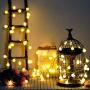 WERTIOO 33ft 100 LEDs Battery Operated String Lights Globe Fairy Lights with Remote Control for Outdoor/Indoor Bedroom,Garden,Christmas Tree[8 Modes,Timer ] (Warm White)