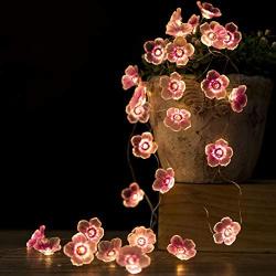 Flower String Lights Fairy Pink Cherry Blossom String Lights, 10ft 30 LEDs Battery Operated String Lights for Kids Girls Bedroom, Christmas, Spring, Nursery, Wedding, Indoor Outdoor Decoration