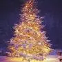 Twinkle Star 33FT 100 LED Indoor String Lights Warm White, Plug in String Lights 8 Modes Waterproof for Indoor Outdoor Christmas Tree Wedding Party Bedroom