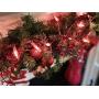 WinterWow Christmas Lights 100-Bulb 20 Ft White Wire Mini Indoor/Outdoor Incandescent Lights-5 Pack Red