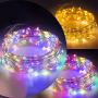 ANJAYLIA 2 in 1 Warm White & Multicolor 33ft 100 LED Fairy Lights, USB Powered Plug-in Powered Waterproof String Lights with Remote Timer Adapter for Bedroom Garden Wedding Party Christmas Decorations