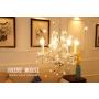Saint Mossi Crystal Maria Therese Chandelier Lighting 4 Lights H17” W18''