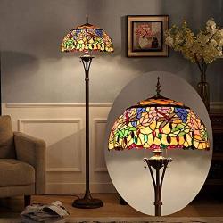 Tiffany Floor Lamp, XINDAR Rustic Stylish Dragonfly Floor Light 3 Lights Stained Glass Floor Lamp for Dining Room