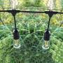 Addlon - 164 FT Nylon Coated Stainless Steel Cable Hanging Kit for Outdoor String Lights, Stainless Steel Corrosion Resistant, Outdoor String Light Suspension kit Guide Wire for Patio, Garden