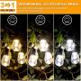 3 Color Outdoor LED Dimmable String Lights for Patio with Remotes, 48FT Waterproof LED Edison Bulb String Lights, Warm White Daylight White Shatterproof LED Light String for Cafe Bistro Pergola