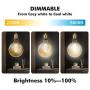 LUTEC G40 E26 Edison 4 Lights Glass Pendant Lighting Modern Hanging Light Fixture for Kitchen Island, Dining Table, Bedroom, Hallway - 700LM 7.5W 2200-5000K Amber Glass Edison Light Bulb