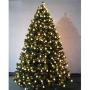 Homeleo Warm White 50 Led Star Fairy Lights with Remote Control, Battery Powered Five-Pointed Star String Lights