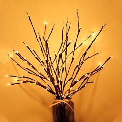 RENUS Branch Lights,6 Packs Twig Light USB Powered 8 Flashing Modes by Remote Control.Branch Lights for Indoor and Outdoor, Light Up Decorations for Halloween Thanksgiving Day and Christmas,Warm White