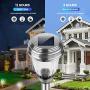 INSOME Solar Path Lights 8 Pack - Pathway Lights Stainless Steel Waterproof - Auto On/Off Wireless LED Landscape Lighting for Lawn Patio Fence Yard Garden Walkway Driveway