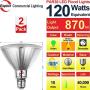 Explux LED PAR38 Green Flood Light Bulbs, Dimmable, Full-Glass Weatherproof, 120W Equivalent, 2-Pack