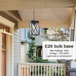 MELUCEE Indoor Outdoor Pendant Light Black Finish, 1-Light Exterior Hanging Light Fixtures Ceiling Lantern with Clear Glass for Porch Hallway Entryway