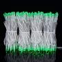 100 Feet 300 Green LED String Lights, Adapter with Functions Controller Constant Lighting & Flashing Mode, Wide Angle LED String Lights for Wedding Party Bedroom Patio Garden Christmas(Green)