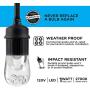 Enbrighten 36134 Seasons 24ft LED Outdoor String, Warm White & Color Changing Edison, Patio, Café,, Shatterproof Light Bulbs, 150 Color Combinations, 24, Black, 24 Ft