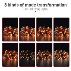 LED Fairy Lights Plug in Led String Lights 32.8FT 100 LED USB Twinkle Fairy Lights with Remote, 8 Modes Warm Light Copper Wire Lights for Bedroom Christmas (2 Pack, 32.8 ft)