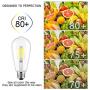 ST58 Vintage LED Edison Light Bulbs 60W Equivalent, 4000K Daylight White, Kohree Dimmable LED Filament Bulbs 6W E26 Base Lamp for Home, Restaurant, Reading Room