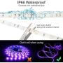 LUNSY Smart LED Strip Lights 32.8 ft/10m, Music Sync, Bluetooth APP Controlled, Remote Control, RGB, 300LED SMD5050, IP65 Waterproof Outdoor, 12V, Alexa Controlled