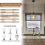 Kitchen Light Fixtures, UL Listed Pendant Lighting Gold Black Hanging Light Fixtures, Modern Metal E26 Cage Ceiling Lights Industrial Lighting for Kitchen Island Dining Room Bedroom Hallway Bar
