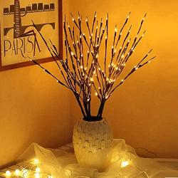 RENUS Branch Lights,6 Packs Twig Light USB Powered 8 Flashing Modes by Remote Control.Branch Lights for Indoor and Outdoor, Light Up Decorations for Halloween Thanksgiving Day and Christmas,Warm White