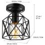Ceiling Light Fixture,Retro Vintage Flush Mount Light Fixture E26 E27 Base Metal Caged Industrial Mini Pendant Light for Hallway Porch Bathroom Stairway Farmhouse Kitchen 2 Pack