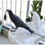 Crow Table Lamp,Bird Table Lamps Artificial Bird Shaped Table Lamp Bedroom Resin Crow Desk Lamp Bedside Light for Bedroom,Bedside,Living Room,Corridor (Black)