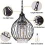 GAZE Modern Sparkling Crystal Chandelier Lighting Black Moroccan Wire Cage Light Fixture Adjustable Island Pendant Light for Living & Dining Room Entryway (Bulb Not Included)(1 Pack) GAZE Modern Sparkling Crystal Chandelier Lighting Black Moroccan Wire Cage Light Fixture Adjustable Island Pendant Light for Living & Dining Room Entryway (Bulb Not Included)(1 Pack)