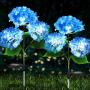 Solar Lights Outdoor Decorative - 2 Pack Hydrangea Solar Garden Stake Lights Waterproof and Realistic LED Flowers Powered Outdoor In-Ground Lights for Garden Lawn Patio Backyard (Blue) Solar Lights Outdoor Decorative - 2 Pack Hydrangea Solar Garden Stake Lights Waterproof and Realistic LED Flowers Powered Outdoor In-Ground Lights for Garden Lawn Patio Backyard (Blue)