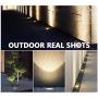 Otdair Solar Ground Lights, 8 LED Warm Light Outdoor Solar Disk Lights, Waterproof In-Ground Lights, Solar Garden Lights, Landscape Lights for Pathway, Yard, Deck, Patio, Walkway, 12 Packs