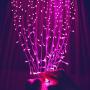 Fiee Curtain Lights,304L 9.8ftX9.8ft 30V 8Modes Safety Window Lights with Memory for Home Wedding Christmas Party Patio Lawn Garden Bedroom Outdoor Indoor Wall Decorations (304LED, Pink)