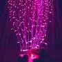 Fiee Curtain Lights,304L 9.8ftX9.8ft 30V 8Modes Safety Window Lights with Memory for Home Wedding Christmas Party Patio Lawn Garden Bedroom Outdoor Indoor Wall Decorations (304LED, Pink)