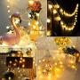 33 FT 80 LED Battery Operated Globe Ball String Lights Fairy String Lights Decor for Bedroom Patio Indoor & Outdoor Party Wedding Christmas Tree Garden Lawn Landscape with Remote Warm White