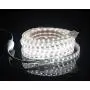 CBConcept UL Listed, 10 Feet, 1080 Lumen, 6000K Pure White, Dimmable, 110-120V AC Flexible Flat LED Strip Rope Light, 180 Units 3528 SMD LEDs, Indoor Outdoor Use, Accessories Included, Ready to use