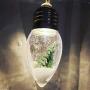 Christmas TreeString Lights, Snow Globe Light, Indoor Outdoor Christmas Lights, Christmas String Lights Fairy String Lights for Home Christmas Tree Wedding Party Bedroom Decoration (2pc twelve lights)