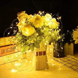 Alkbo Battery String Lights,Fairy Lights for Bedroom Wedding Party Christmas Halloween,10Ft 30LEDs (Warm White)