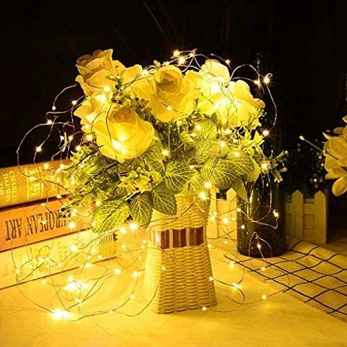 Alkbo Battery String Lights,Fairy Lights for Bedroom Wedding Party Christmas Halloween,10Ft 30LEDs (Warm White)