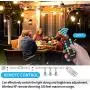 Palawell Outdoor Dimmer, 350W 100Ft Dimmer Switch for String Lights Dimmable Brightness 25% 50% 75% 100%,Outdoor String Light/LED Bulb Timer 2H 4H 6H 8H