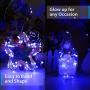 Ariceleo USB Powered Fairy Lights, 50 led 16 ft. USB Plug in Copper Wire USB String Lights for Bedroom Christmas Decoration Wedding Party Firefly Lights (Blue,1 Pack)