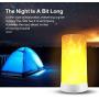 LED Flame Effect Light,4 Modes Fire Lights, USB Rechargable Candle Flame Table Lamp with Remote Contro& Timer Desk Lamp, Used in Living Room Bedroom Family Gathering bar Camping Party