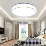 Nordic Style LED Ceiling Light Round Simple Ceiling Lamp Decorative Light for Dining Room Balcony Bedroom